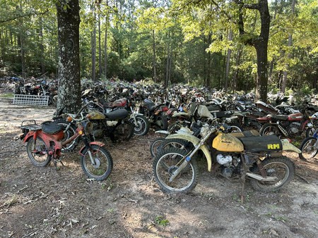 4.000 motos clásicas japonesas tiradas en un bosque. El cementerio de motos más bestia del mundo está en Estados Unidos 